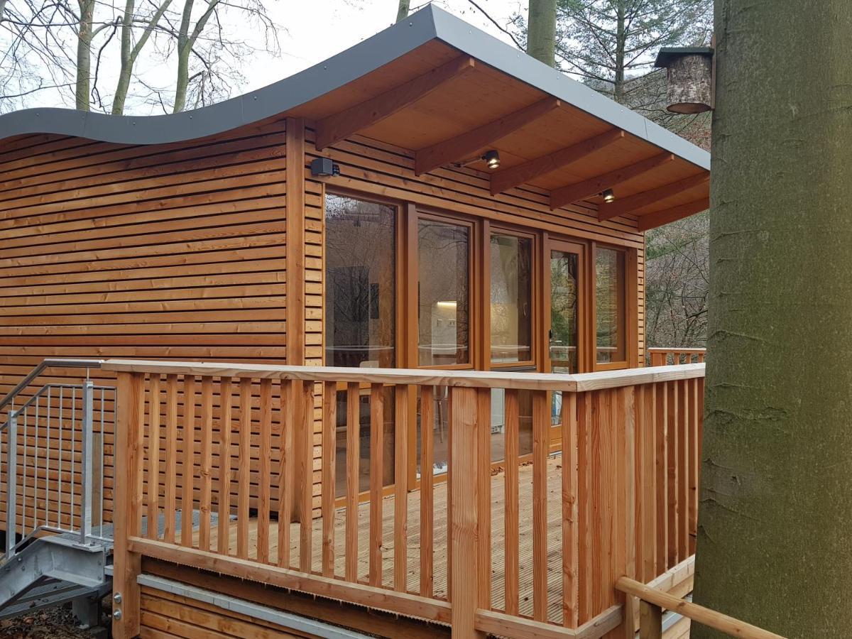 Sonnenresort Ettershaus Bad Harzburg Ngoại thất bức ảnh